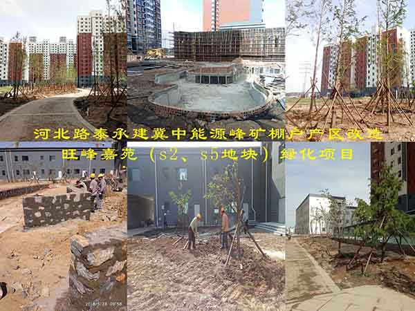 河北路泰承建冀中能源峰礦棚戶產(chǎn)區(qū)改造旺峰嘉苑（s2、s5地塊）綠化項(xiàng)目有序施工中